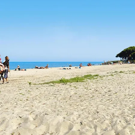 Mare E Sole In Isolaccio - Kor01039-byf Taglio-Isolaccio